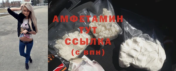 Альфа ПВП Аркадак